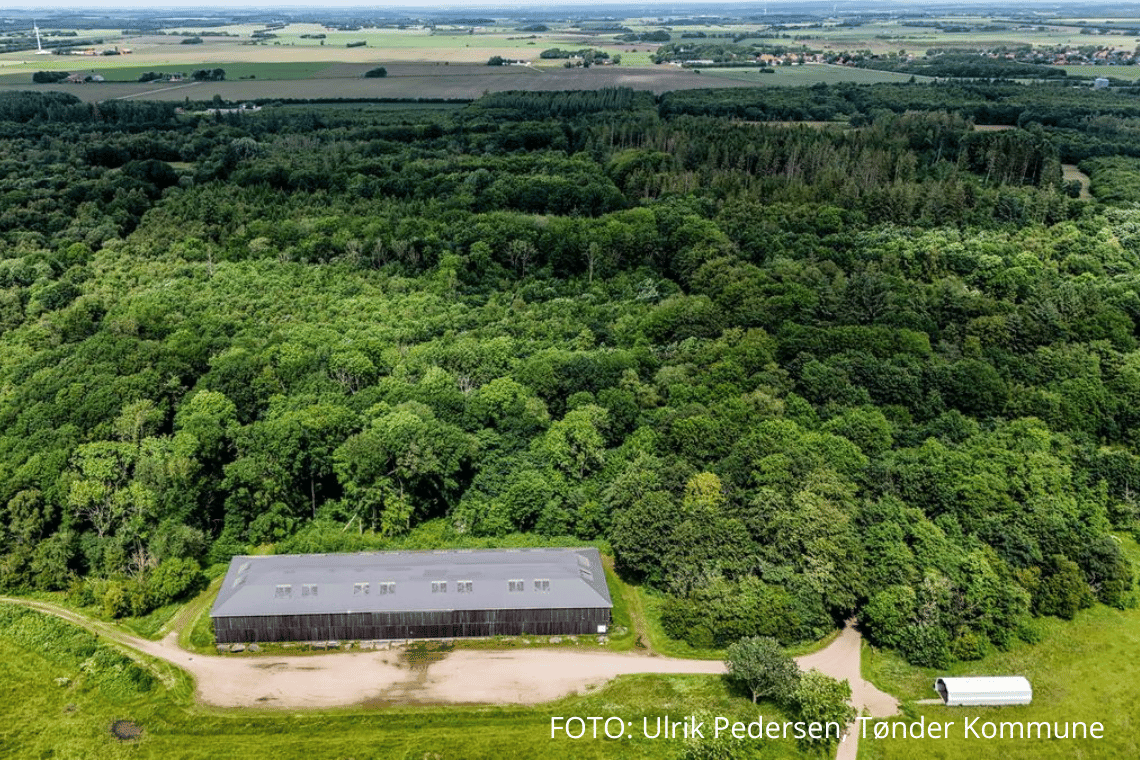 Millionbevilling giver Zeppelinprojektet luft under vingerne